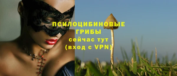 a pvp Богданович