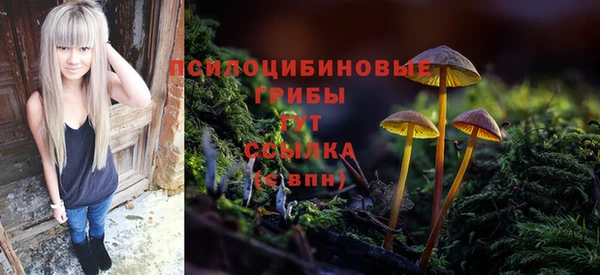 a pvp Богданович