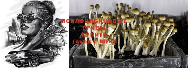 ГАЛЛЮЦИНОГЕННЫЕ ГРИБЫ Богородицк